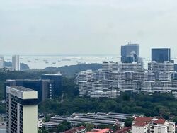 Stirling Residences (D3), Apartment #502584521
